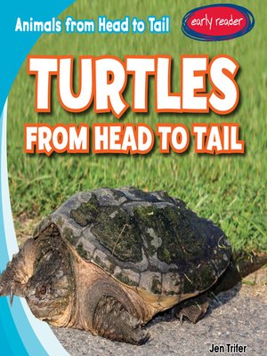 cover image of Turtles from Head to Tail
